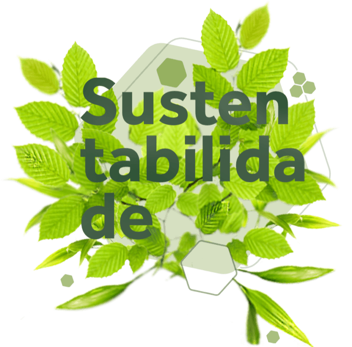 Sustentabilidade BCS Plásticos